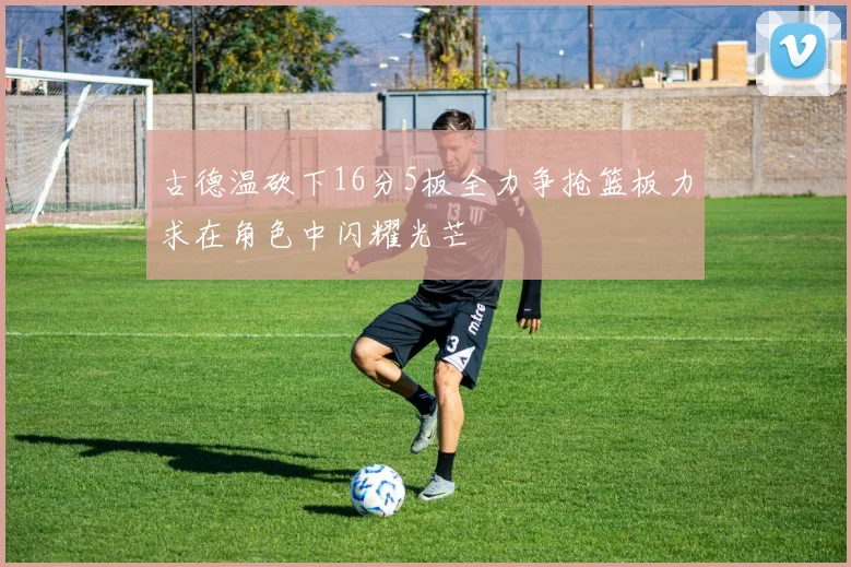古德温砍下16分5板全力争抢篮板力求在角色中闪耀光芒