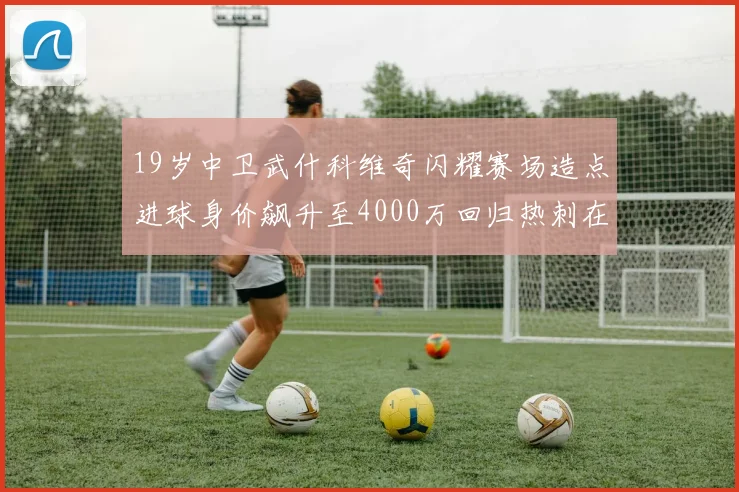 19岁中卫武什科维奇闪耀赛场造点进球身价飙升至4000万回归热刺在即