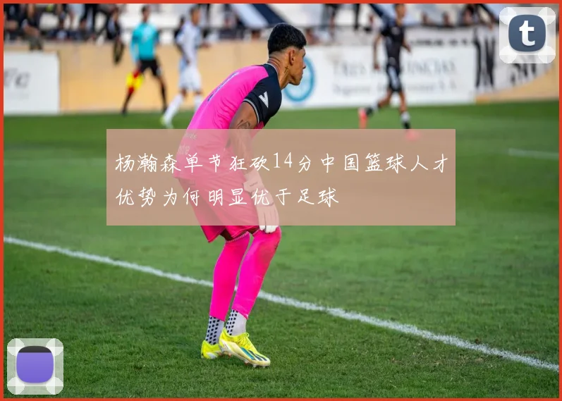 杨瀚森单节狂砍14分中国篮球人才优势为何明显优于足球