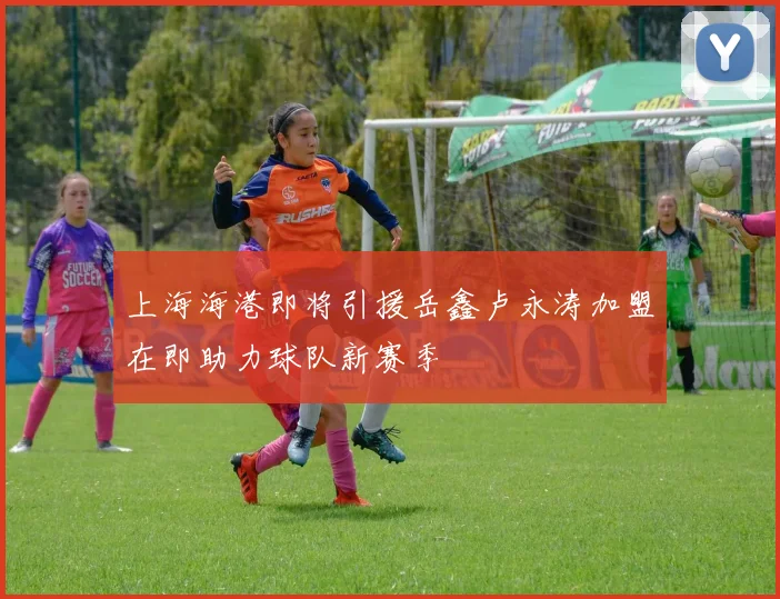 上海海港即将引援岳鑫卢永涛加盟在即助力球队新赛季